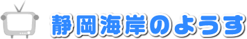 静岡海岸のようす